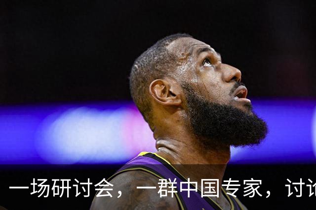 一场研讨会，一群中国专家，讨论的全是中国自己的事，可主办方偏偏定了条死规矩 —— 全程必须说英语