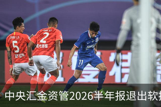 中央汇金资管2026半年报退出软控股份前十大股东名单