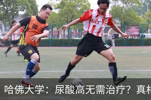 哈佛大学：尿酸高无需治疗？真相可能让人大吃一惊，建议了解！