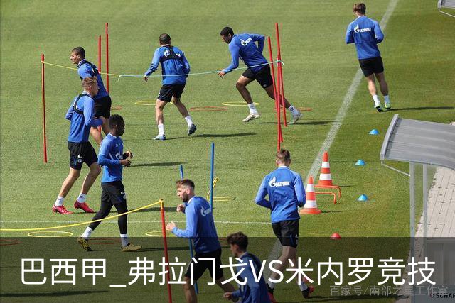 巴西甲 弗拉门戈VS米内罗竞技