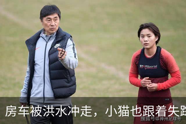 房车被洪水冲走，小猫也跟着失踪，8天后它突然回家了，全家人都哭了