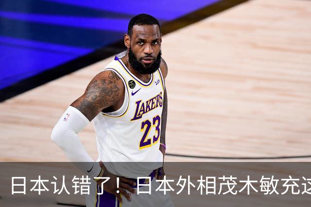 日本认错了！日本外相茂木敏充这回把话挑明了：