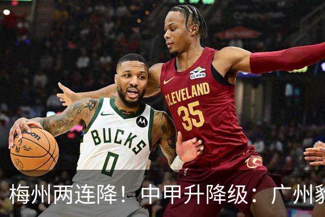 梅州两连降！中甲升降级：广州豹、南通支云冲超，梅州与佛山降级