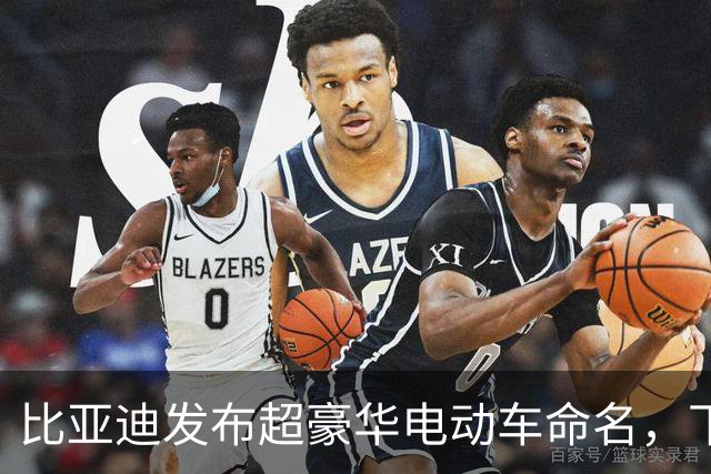 比亚迪发布超豪华电动车命名，下周或将改写行业格局