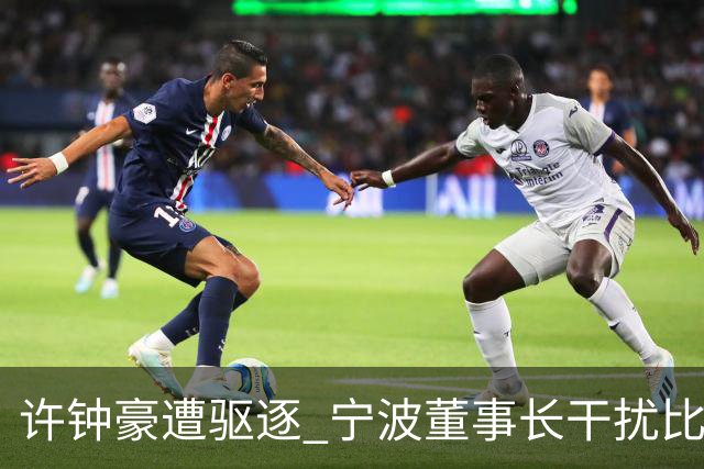 许钟豪遭驱逐 宁波董事长干扰比赛被停赛+罚款3万